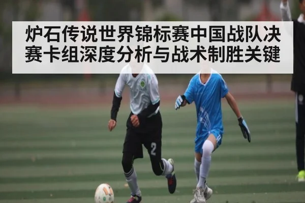 炉石传说世界锦标赛中国战队决赛卡组深度分析与战术制胜关键
